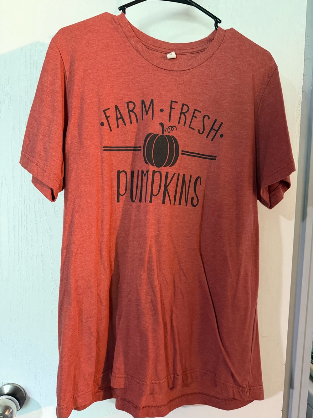 Farm Fresh Pumpkins Graphic Tee - Rust
